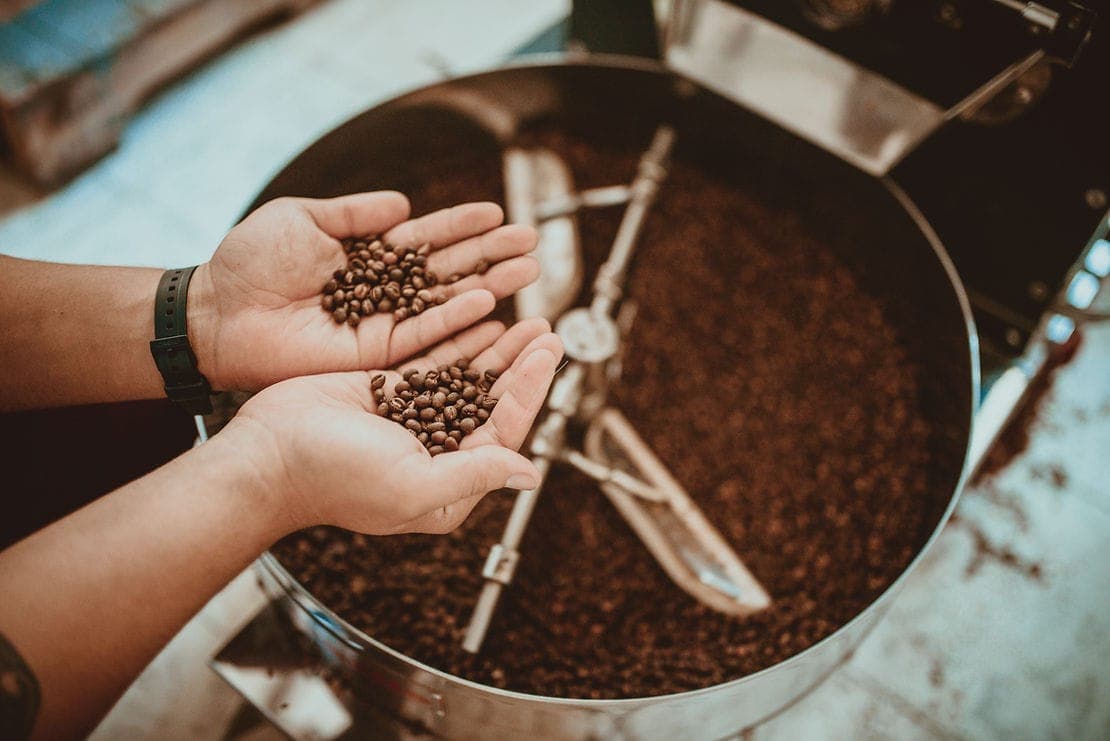 Premium Boutique Coffee Roaster – Northern NSW Lifestyle Hub